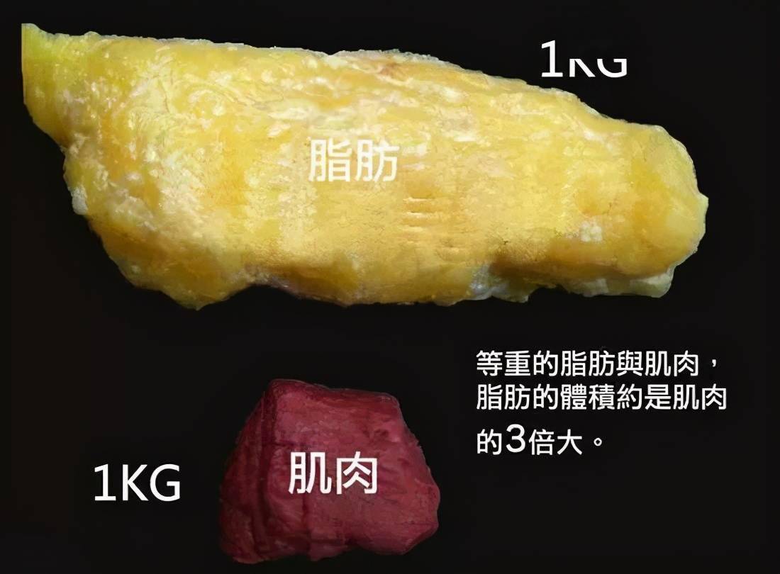 足球场上的规则，一场没有终点的博弈