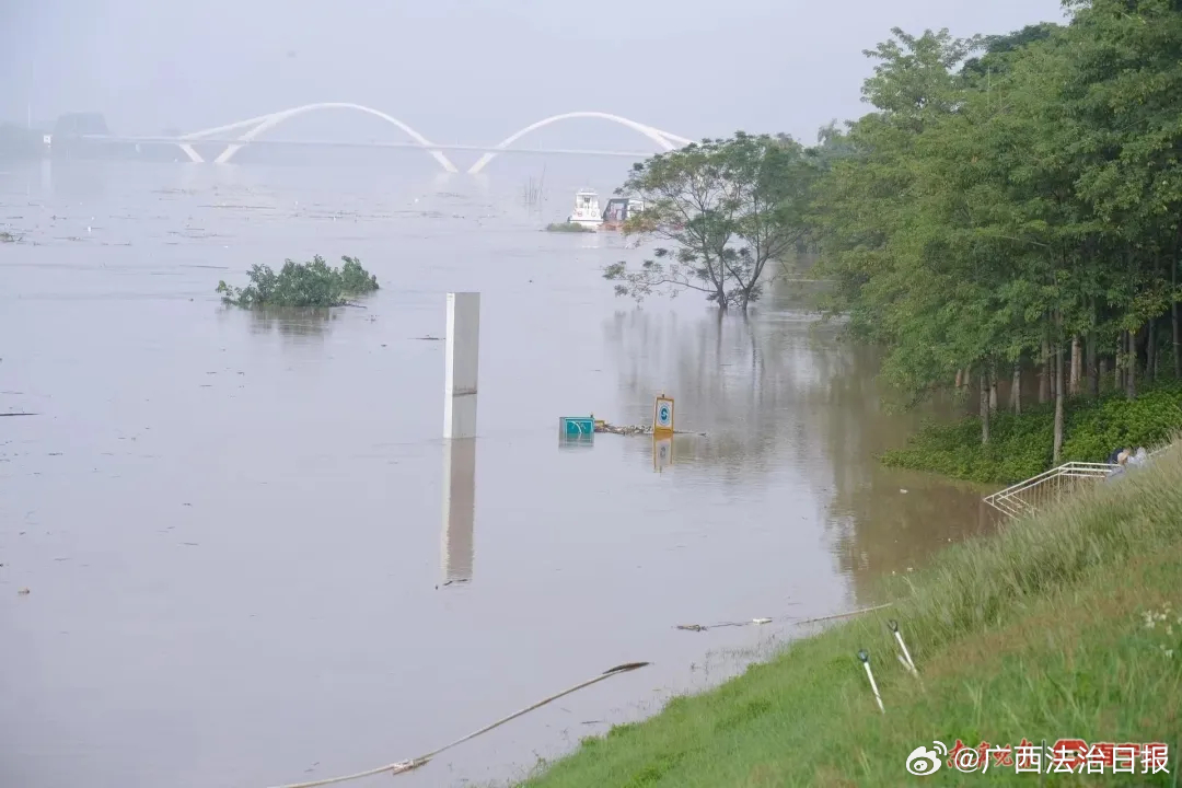广西南宁洪涝灾害，三重风险下的挑战与应对