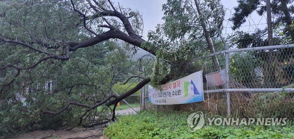 台风巴威远距离影响北京，一场不期而遇的自然课堂